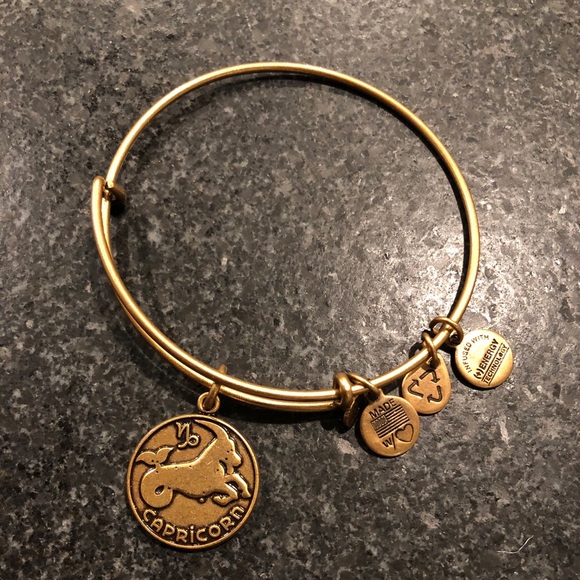 NWT Alex & Ani Capricorn Gold Bangle Bracelet - Picture 3 of 3